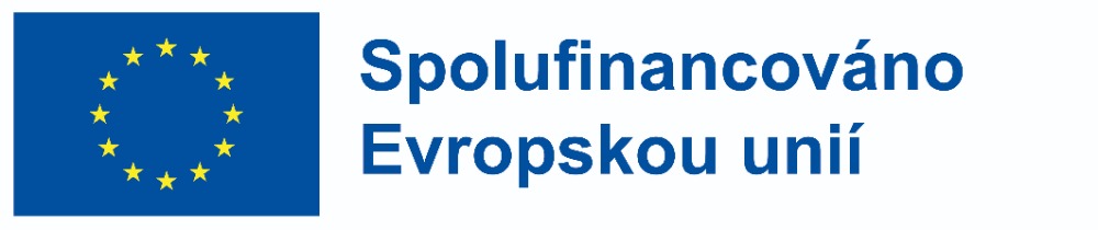 CS Spolufinancováno Evropskou unií_POS